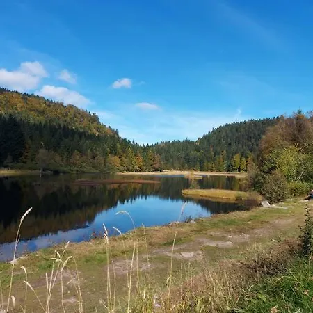 Appart6 Pers Garage Centre A 500m Apartment La Bresse